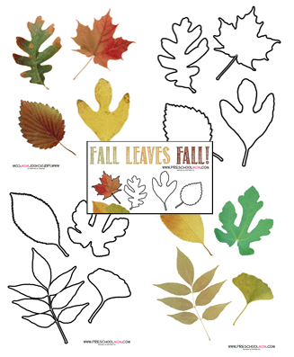 Fall Leaf Preschool Printables